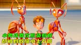 千万别惹蚂蚁，不然就会把你抓去体验当蚂蚁的快乐《别惹蚂蚁》中