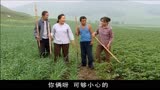 暖春：农村夫妇做生意贪小便宜，买低价的化肥，最后亏得血本无归