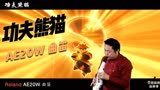 功夫熊猫 罗兰AE20W 曲笛「安颐爸爸音乐会」
