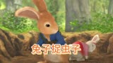 彼得兔之兔子捉虫子，3—6岁儿童早教启蒙益智休闲动画片推荐