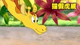 猫和老鼠 猫假虎威