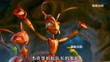 千万不要惹蚂蚁，要不然蚂蚁真的会报复《别惹蚂蚁》