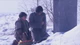 《雪山飞狐》高光必看内容