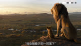 《狮子王》真正分辨动画与现实区别在于狮子身上的毛发