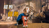 小狗意外获得超能力，携手哈士奇军团，大败坏博士 《超狗任务》