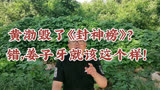 黄渤太土，毁了《封神榜》？错，姜子牙就该这个样！