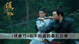 绣春刀：据说因为辛芷蕾这一刀，斩断了一半女星的武侠梦