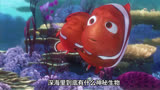 《海底总动员》：勇敢的小丑鱼寻找母亲