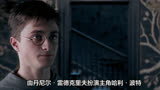 哈利波特演员表：丹尼尔·雷德克里夫主演