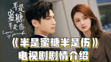 《半是蜜糖半是伤》电视剧剧情介绍