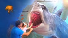 儿童萌宝乐园：超梦幻的海洋体验馆，天呐，大鲨鱼也太逼真了