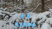 《冬恋》邓丽君怀旧金曲次中音萨克斯独奏Saxophone Cover