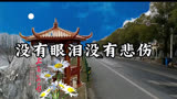 歌剧「洪湖赤卫队」插曲《没有眼泪没有悲伤》王玉珍