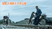 六月必看电影《狗阵》，彭于晏佟丽娅携手演绎感人故事