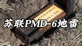 苏联PDM-6地雷