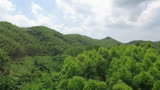 好熟悉