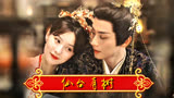 【陈鑫海X张维娜】这一世，我不会让你再受任何委屈【仙台有树】