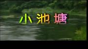 3.小池塘 情景朗读 苏教版一年级语文下册