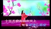 杨钰莹 月满情怀音乐背景音乐视频音乐爱奇艺