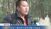 母超群受媒体采访生活完整版视频在线观看爱奇艺