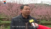 乐昌:3月6日举办九峰桃花节资讯高清正版视频在线观看–爱奇艺