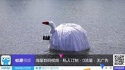 ＂Shoot the Swan's Be生活完整版视频在线观看爱奇艺