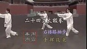 吴阿敏24式太极拳124节全集分解教学全部影音版