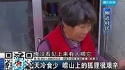 实拍:青岛崂山现大批黑色狐狸 目露凶光互相撕咬生活完整版视频在线观看爱奇艺