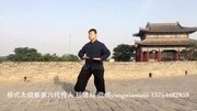 杨振河太极国术馆 杨建超 传统杨式太极拳健康完整版视频在线观看爱奇艺