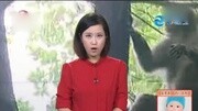 高清江苏:大学教室闯入猴子 平静课堂炸开了锅资讯高清正版视频在线观看–爱奇艺