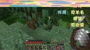 李柏林【我的世界★Minecraft】新手生存教学游戏完整版视频在线观看爱奇艺