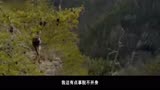 《致命对决》新曝中文预告 德尼罗单枪匹马闯山林