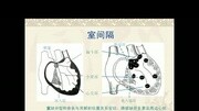 09第九章 心脏解剖与生理1知识名师课堂爱奇艺