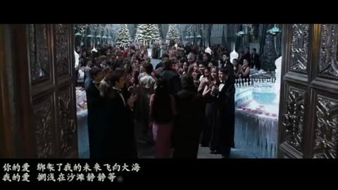 【哈利波特】塞德里克&张秋【自剪同人,he】-爱存在 本视频暂不支持