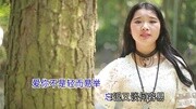 朱丽娟《爱就在一起》KTV版 魔音金麦田文化传媒音乐背景音乐视频音乐爱奇艺