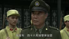 白狼电视剧悬疑剧战争剧宋佳邵兵常戎吕平滢