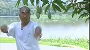 意拳(大成拳)精粹系列——王永祥(3)健康完整版视频在线观看爱奇艺