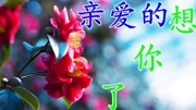 一首动听的情歌《陈美惠  在我心里有个你》送给大家音乐完整版视频在线观看爱奇艺