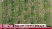 中医药纪录片《本草中华》登陆东方卫视娱乐完整版视频在线观看爱奇艺