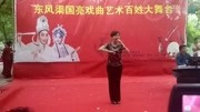 梨园春擂主(王慧忠)演唱视频娱乐完整版视频在线观看爱奇艺