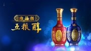 珍品级五粮醇15S B广告完整版视频在线观看爱奇艺