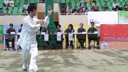 2004年全国传统武术交流大会 男子项目 051 八卦掌 宋立志体育完整版视频在线观看爱奇艺