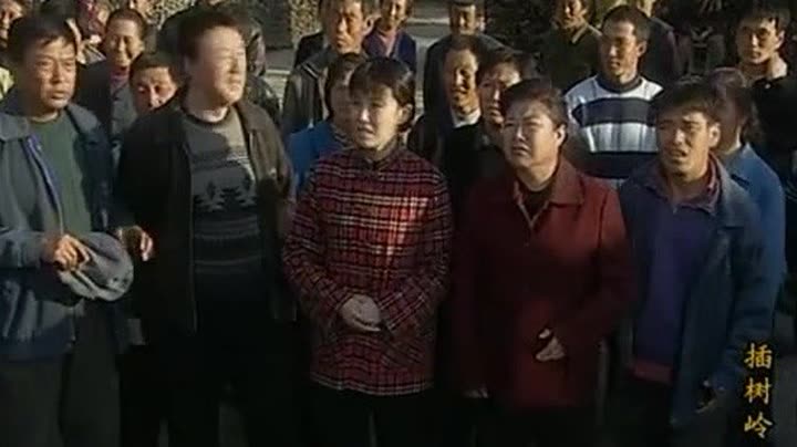                          插树岭