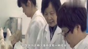 红薯藤里的“白汁”是什么?有什么作用?让农民来告诉你生活完整版视频在线观看爱奇艺