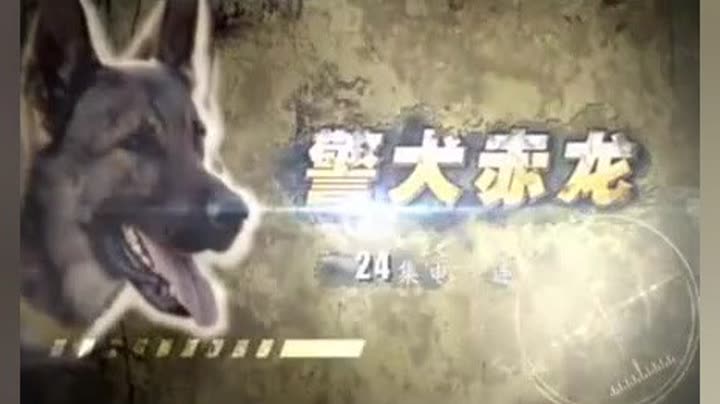                   警犬赤龙第2集