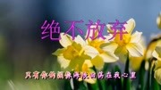 一曲经典的《绝不放弃》歌词走心,令人心醉,美极了音乐背景音乐视频音乐爱奇艺