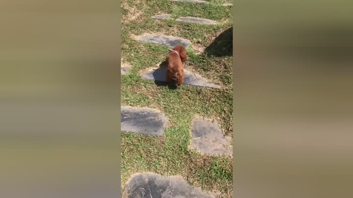 风继续吹生活趣