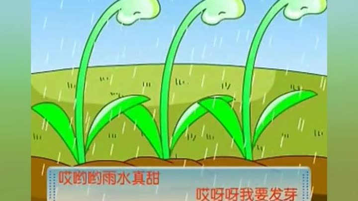                  小雨沙沙沙儿歌