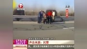 山西八头猪掉下车,引发车辆追尾生活完整版视频在线观看爱奇艺