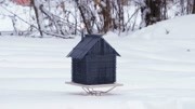 节日焰火,用电光花搭建的小屋点燃瞬间生活完整版视频在线观看爱奇艺